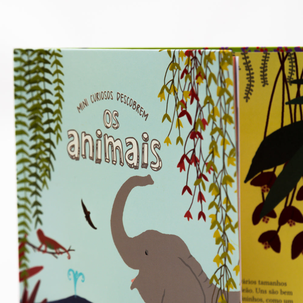 
                  
                    Mini Curiosos descobrem os Animais
                  
                